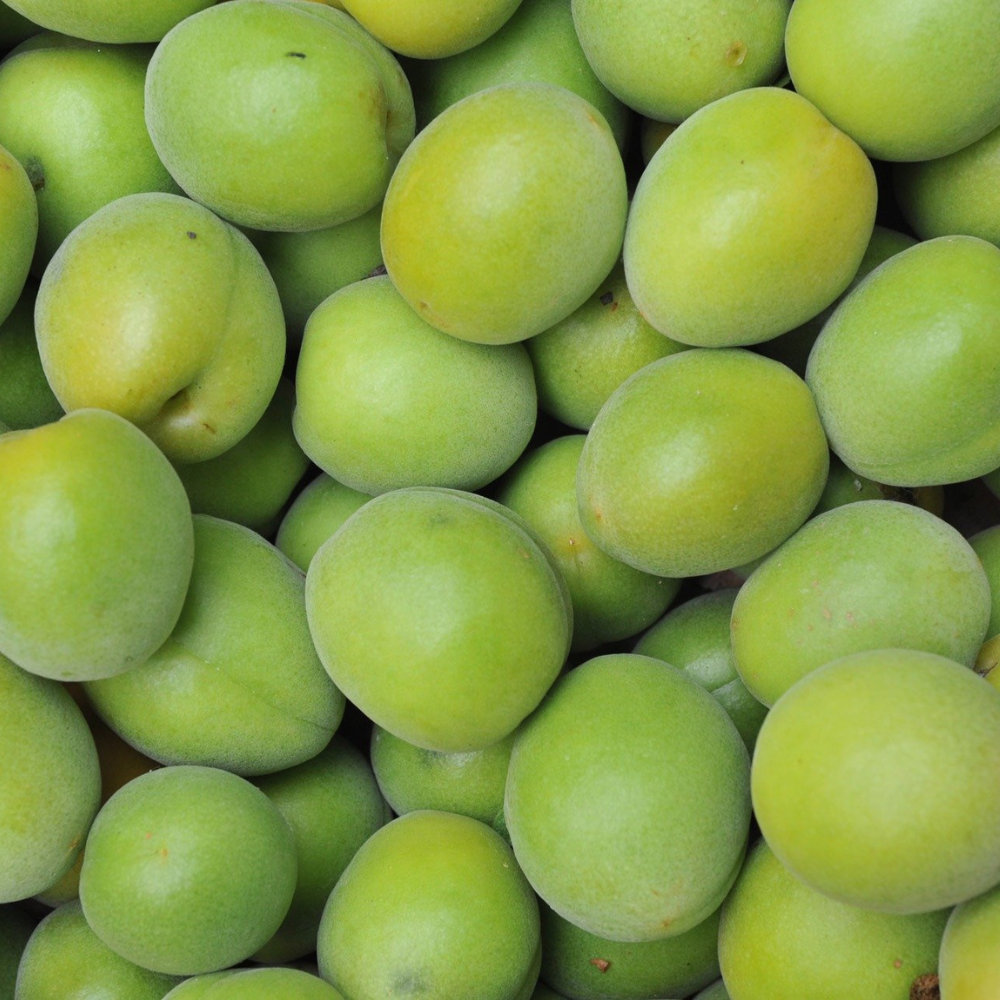 Kakadu Plum Fruit